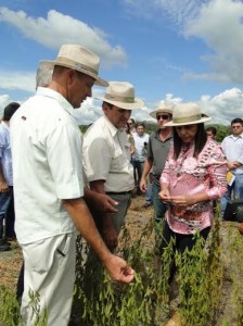 Governadora Roseana Sarney e secretário Cláudio Azevedo em visita a plantio de soja da região do Baixo Parnaíba.